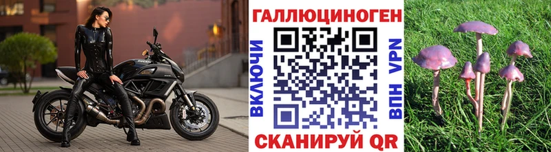 Купить  Красный Холм  Псилоцибиновые грибы ЛСД 